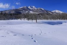 Tourist destination images of Imori Pond(3)