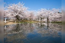 Tourist destination images of Hakusan Park(4)