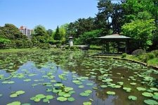 Tourist destination images of Hakusan Park(5)