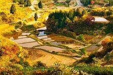 Tourist destination images of Hoshi-tōge Rice Terraces(2)