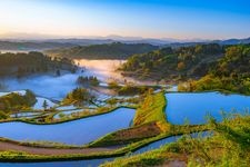 Tourist destination images of Hoshi-tōge Rice Terraces(5)