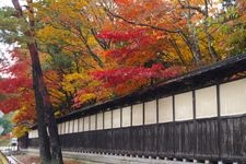 Tourist destination images of Nakano Residence Memorial Museum(3)