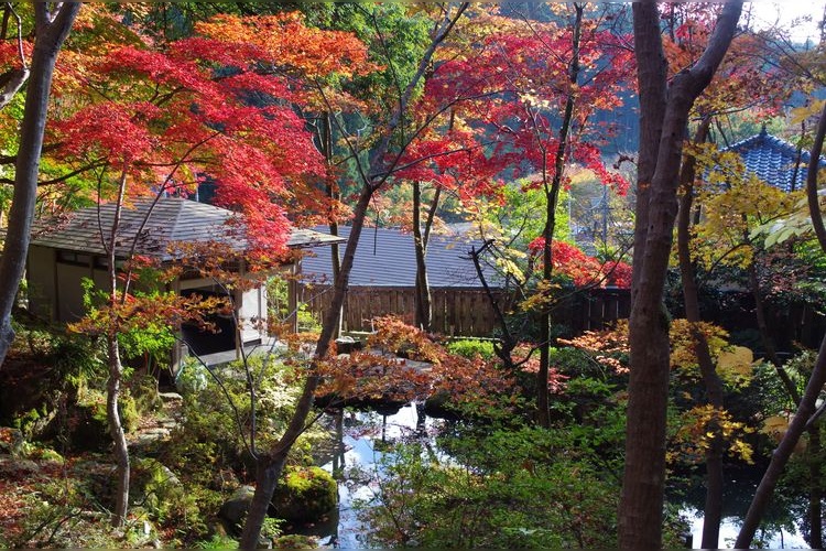 村松公園の観光地画像(2)