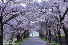 Tourist destination images of Muramatsu Park(3)