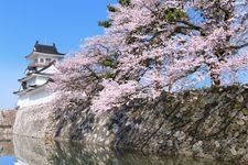 Tourist destination images of Toyama Castle (Toyama City Museum of History)(7)