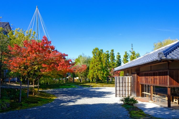 富山縣水墨美術館的觀光地圖片(2)