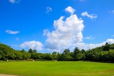 Tourist destination images of Takaoka Kojo Park (Takaoka Castle Ruins)(4)