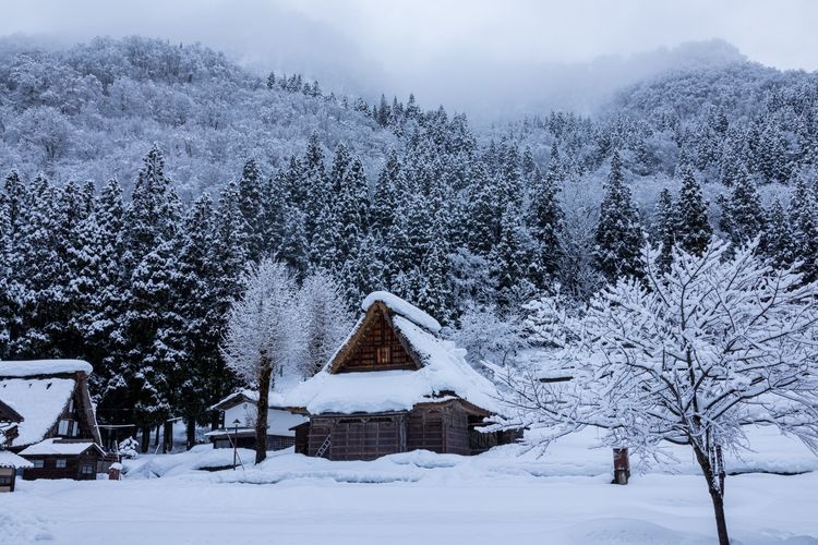Tourist destination images of Aikura Gassho-style Village(4)