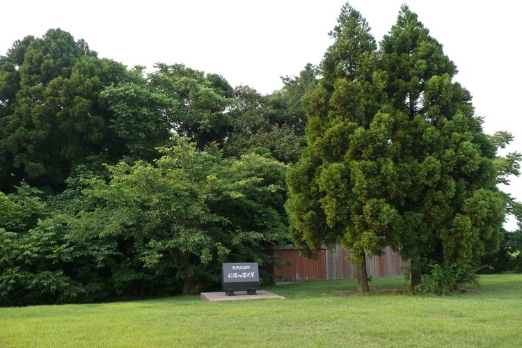 Tourist destination images of Sugisawa no Sawasugi(2)