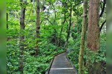 Tourist destination images of Sugisawa no Sawasugi(1)
