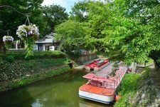 Tourist destination images of Matsukawa River Cherry Blossoms(4)