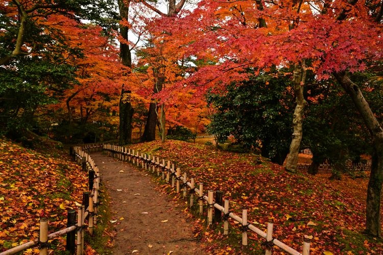 Kenrokuen Garden