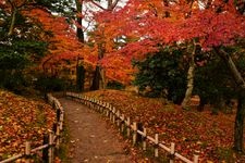 Tourist destination images of Kenrokuen Garden(1)