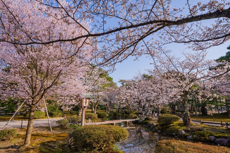 Tourist destination images of Kenrokuen Garden(2)