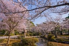 Tourist destination images of Kenrokuen Garden(2)
