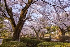 Tourist destination images of Kenrokuen Garden(3)