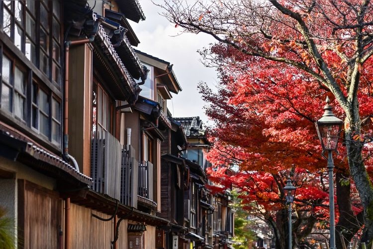 Kasugamachi Chaya District (Important Preservation District for Groups of Traditional Buildings)