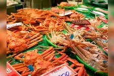 Tourist destination images of Omicho Market(1)