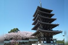 Tourist destination images of Kanazawa Teramachi-dai Traditional Buildings Preservation District(5)