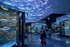 Tourist destination images of Notojima Aquarium(2)