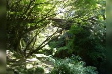 Tourist destination images of Kakusenkei Valley(4)