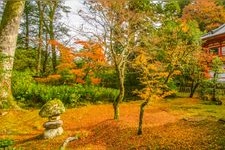 Tourist destination images of Natadera Temple(1)