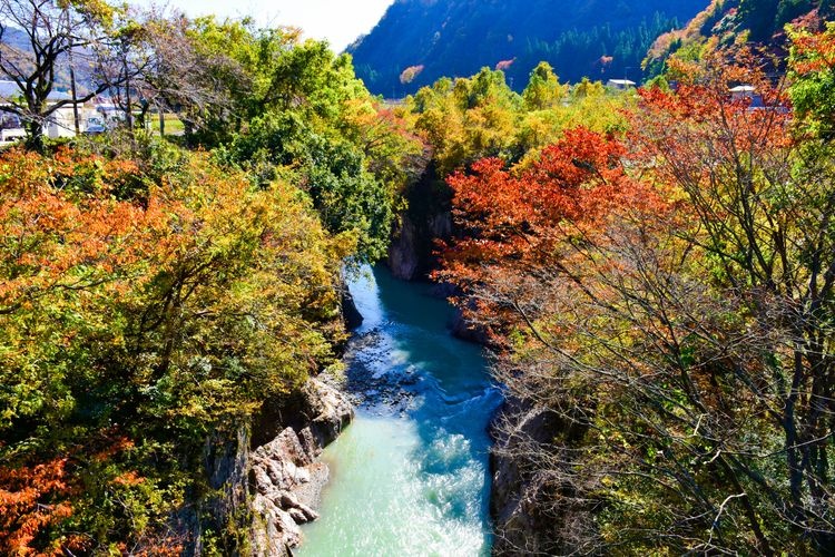 Tedorigawa Gorge
