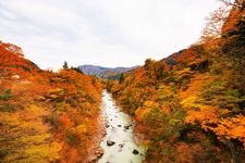 Tourist destination images of Tedorigawa Gorge(4)