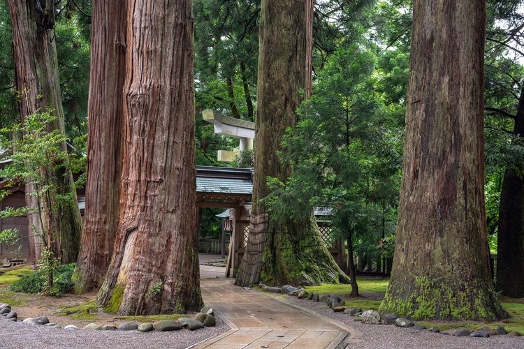 Shirayama Hime Jinja Shrine