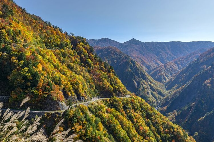 Hakusan Shirakawa-go White Road