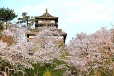 Tourist destination images of Maruoka Castle(3)