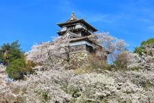 Tourist destination images of Maruoka Castle(1)