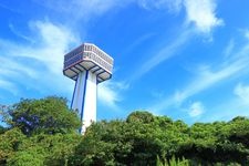 Tourist destination images of Tojinbo(2)