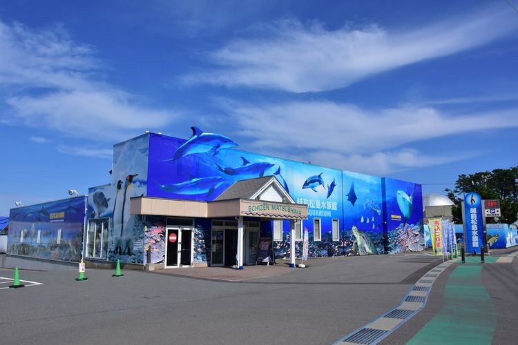 Echizen-Matushima Aquarium