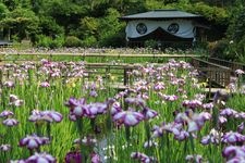 Tourist destination images of Daianzenji Temple(1)