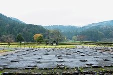 Tourist destination images of Ichijodani Asakura Clan Ruins(2)