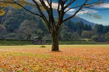 Tourist destination images of Ichijodani Asakura Clan Ruins(4)