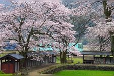 Tourist destination images of Ichijodani Asakura Clan Ruins(5)