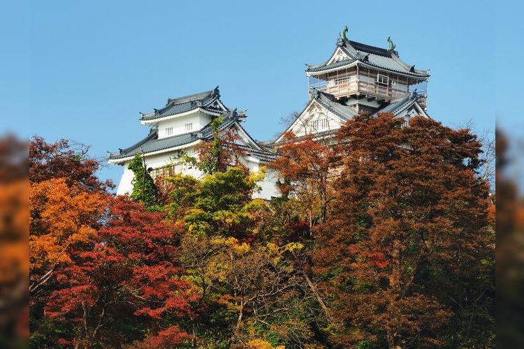 Tourist destination images of Echizen Ono Castle(3)
