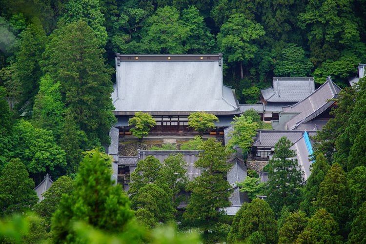 Tourist destination images of Eiheiji Temple(2)
