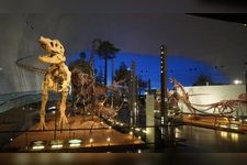 Tourist destination images of Fukui Prefectural Dinosaur Museum(1)