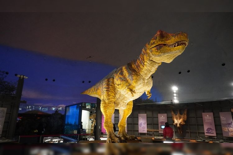 Tourist destination images of Fukui Prefectural Dinosaur Museum(2)