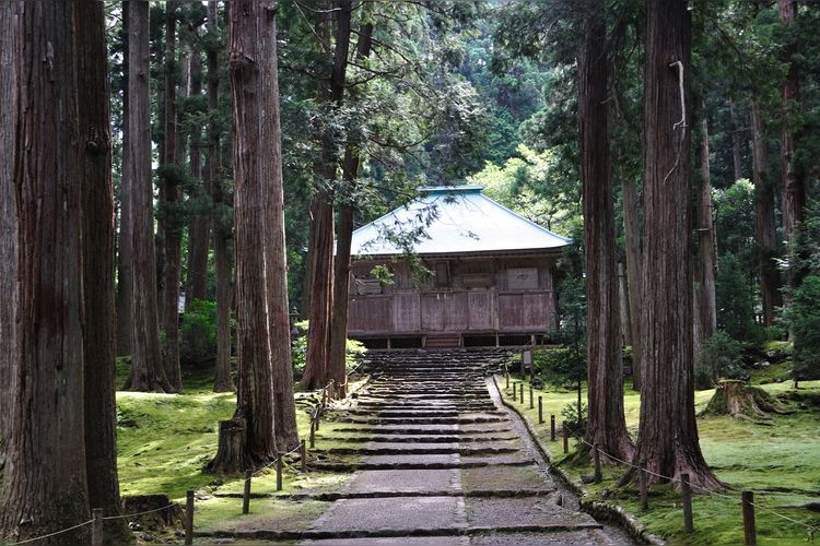 Hakusan Hiraizumi-dera Temple