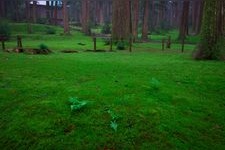 Tourist destination images of Hakusan Hiraizumi-dera Temple(9)