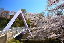 Tourist destination images of Nishiyama Park(4)