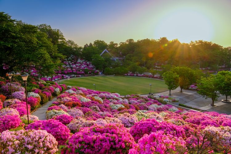 Tourist destination images of Nishiyama Park(2)