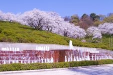 Tourist destination images of Nishiyama Park(3)