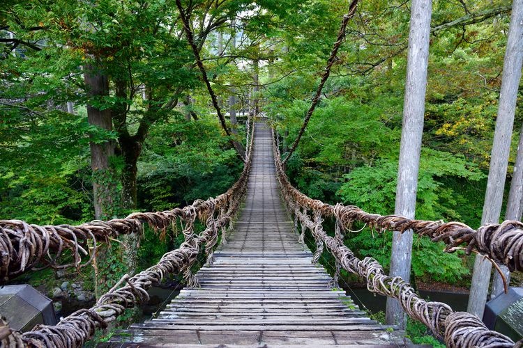 Fukui's Kazurabashi (Vine Bridge)