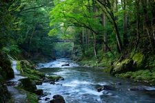 Tourist destination images of Fukui's Kazurabashi (Vine Bridge)(2)