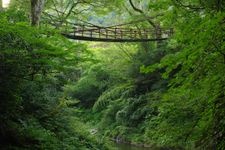 Tourist destination images of Fukui's Kazurabashi (Vine Bridge)(3)